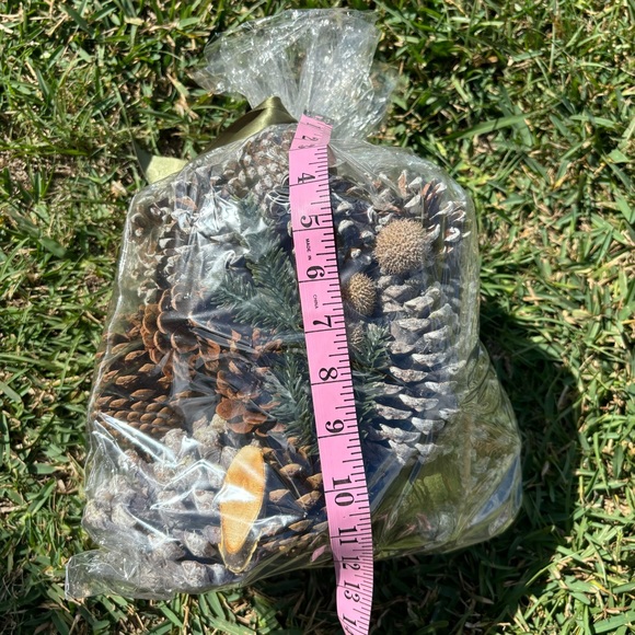 16oz Bag of Unscented Pinecone Decor Mix Holiday Decoration - Picture 7 of 7